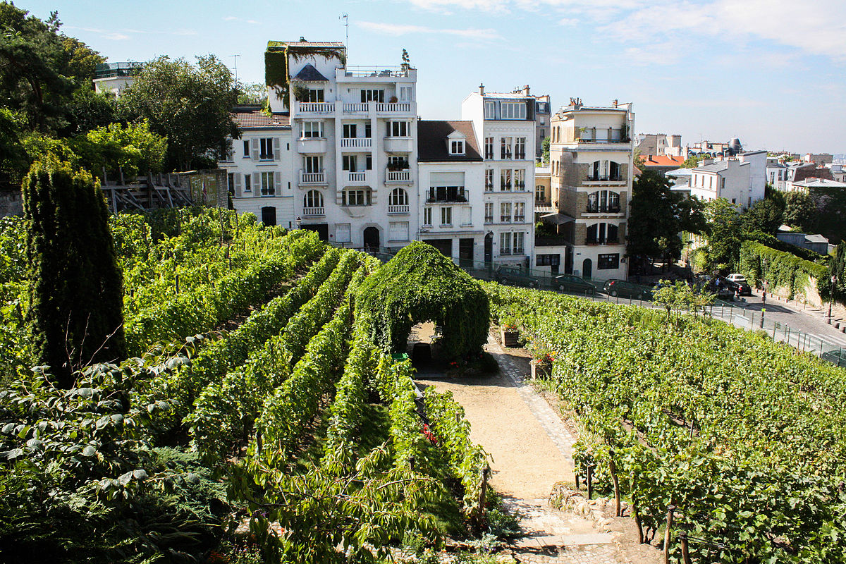 GRENACHES DU MONDE 2024 IN PARIS: an olympic edition!